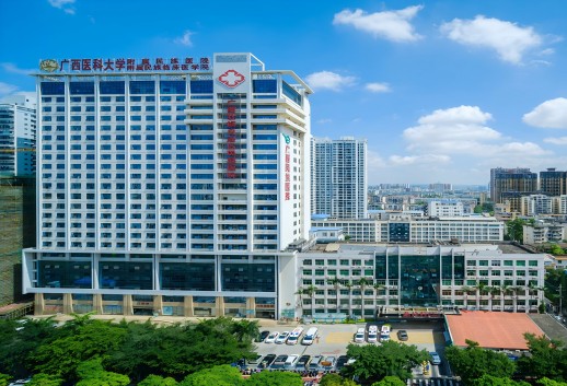 广西壮族自治区民族医院